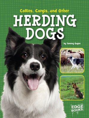 cover image of Collies, Corgies, and Other Herding Dogs